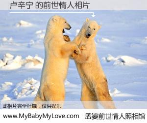 #孟婆前世情人照相馆# 【卢辛宁 的前世情人】前生，我们相亲相爱，相约下辈子还要在一起，你的誓言可别忘记。然而轮回路上的一碗孟婆汤，却将一切归零。茫茫人悔，谁是我的前世情人？卢辛宁 的前世情人，有图有真相：