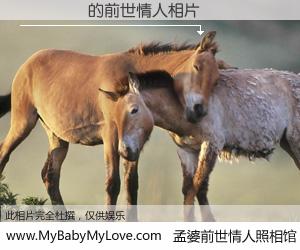 #孟婆前世情人照相馆# 【歐陽銘藝 的前世情人】前生，我们相亲相爱，相约下辈子还要在一起，你的誓言可别忘记。然而轮回路上的一碗孟婆汤，却将一切归零。茫茫人悔，谁是我的前世情人？歐陽銘藝 的前世情人，有图有真相：