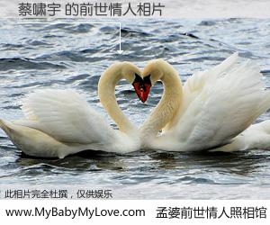#孟婆前世情人照相馆# 【蔡啸宇 的前世情人】前生，我们相亲相爱，相约下辈子还要在一起，你的誓言可别忘记。然而轮回路上的一碗孟婆汤，却将一切归零。茫茫人悔，谁是我的前世情人？蔡啸宇 的前世情人，有图有真相：