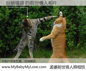 #孟婆前世情人照相馆# 【谷丽福袋 的前世情人】前生，我们相亲相爱，相约下辈子还要在一起，你的誓言可别忘记。然而轮回路上的一碗孟婆汤，却将一切归零。茫茫人悔，谁是我的前世情人？谷丽福袋 的前世情人，有图有真相：