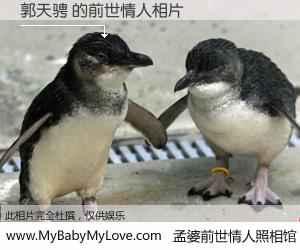#孟婆前世情人照相馆# 【郭天骋 的前世情人】前生，我们相亲相爱，相约下辈子还要在一起，你的誓言可别忘记。然而轮回路上的一碗孟婆汤，却将一切归零。茫茫人悔，谁是我的前世情人？郭天骋 的前世情人，有图有真相：