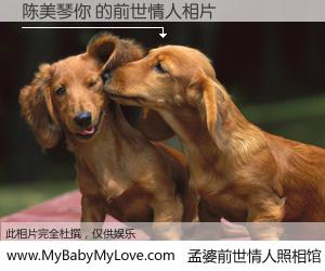 #孟婆前世情人照相馆# 【陈美琴你 的前世情人】前生，我们相亲相爱，相约下辈子还要在一起，你的誓言可别忘记。然而轮回路上的一碗孟婆汤，却将一切归零。茫茫人悔，谁是我的前世情人？陈美琴你 的前世情人，有图有真相：