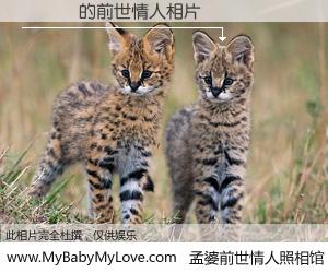 #孟婆前世情人照相馆# 【陳鈺錤 的前世情人】前生，我们相亲相爱，相约下辈子还要在一起，你的誓言可别忘记。然而轮回路上的一碗孟婆汤，却将一切归零。茫茫人悔，谁是我的前世情人？陳鈺錤 的前世情人，有图有真相：