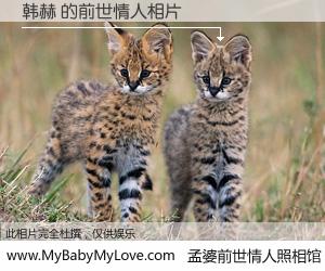 #孟婆前世情人照相馆# 【韩赫 的前世情人】前生，我们相亲相爱，相约下辈子还要在一起，你的誓言可别忘记。然而轮回路上的一碗孟婆汤，却将一切归零。茫茫人悔，谁是我的前世情人？韩赫 的前世情人，有图有真相：