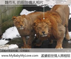 #孟婆前世情人照相馆# 【魏作礼 的前世情人】前生，我们相亲相爱，相约下辈子还要在一起，你的誓言可别忘记。然而轮回路上的一碗孟婆汤，却将一切归零。茫茫人悔，谁是我的前世情人？魏作礼 的前世情人，有图有真相：