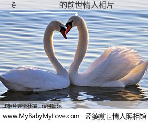#孟婆前世情人照相馆# 【����� 的前世情人】前生，我们相亲相爱，相约下辈子还要在一起，你的誓言可别忘记。然而轮回路上的一碗孟婆汤，却将一切归零。茫茫人悔，谁是我的前世情人？����� 的前世情人，有图有真相：