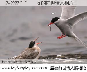 #孟婆前世情人照相馆# 【?-????����a 的前世情人】前生，我们相亲相爱，相约下辈子还要在一起，你的誓言可别忘记。然而轮回路上的一碗孟婆汤，却将一切归零。茫茫人悔，谁是我的前世情人？?-????����a 的前世情人，有图有真相：