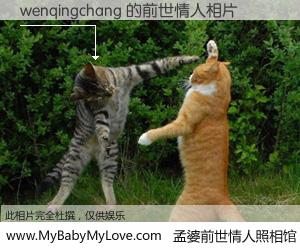 #孟婆前世情人照相馆# 【wenqingchang 的前世情人】前生，我们相亲相爱，相约下辈子还要在一起，你的誓言可别忘记。然而轮回路上的一碗孟婆汤，却将一切归零。茫茫人悔，谁是我的前世情人？wenqingchang 的前世情人，有图有真相：