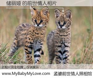 #孟婆前世情人照相馆# 【储丽娅 的前世情人】前生，我们相亲相爱，相约下辈子还要在一起，你的誓言可别忘记。然而轮回路上的一碗孟婆汤，却将一切归零。茫茫人悔，谁是我的前世情人？储丽娅 的前世情人，有图有真相：