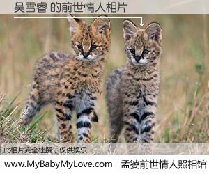 #孟婆前世情人照相馆# 【吴雪睿 的前世情人】前生，我们相亲相爱，相约下辈子还要在一起，你的誓言可别忘记。然而轮回路上的一碗孟婆汤，却将一切归零。茫茫人悔，谁是我的前世情人？吴雪睿 的前世情人，有图有真相：