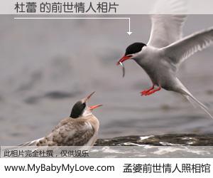 #孟婆前世情人照相馆# 【杜蕾 的前世情人】前生，我们相亲相爱，相约下辈子还要在一起，你的誓言可别忘记。然而轮回路上的一碗孟婆汤，却将一切归零。茫茫人悔，谁是我的前世情人？杜蕾 的前世情人，有图有真相：