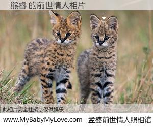 #孟婆前世情人照相馆# 【熊睿 的前世情人】前生，我们相亲相爱，相约下辈子还要在一起，你的誓言可别忘记。然而轮回路上的一碗孟婆汤，却将一切归零。茫茫人悔，谁是我的前世情人？熊睿 的前世情人，有图有真相：