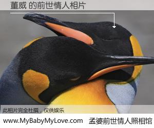 #孟婆前世情人照相馆# 【董威 的前世情人】前生，我们相亲相爱，相约下辈子还要在一起，你的誓言可别忘记。然而轮回路上的一碗孟婆汤，却将一切归零。茫茫人悔，谁是我的前世情人？董威 的前世情人，有图有真相：