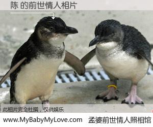 #孟婆前世情人照相馆# 【陈 的前世情人】前生，我们相亲相爱，相约下辈子还要在一起，你的誓言可别忘记。然而轮回路上的一碗孟婆汤，却将一切归零。茫茫人悔，谁是我的前世情人？陈 的前世情人，有图有真相：