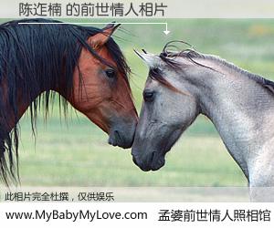 #孟婆前世情人照相馆# 【陈迮楠 的前世情人】前生，我们相亲相爱，相约下辈子还要在一起，你的誓言可别忘记。然而轮回路上的一碗孟婆汤，却将一切归零。茫茫人悔，谁是我的前世情人？陈迮楠 的前世情人，有图有真相：