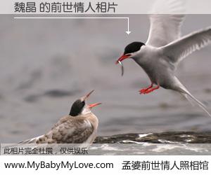 #孟婆前世情人照相馆# 【魏晶 的前世情人】前生，我们相亲相爱，相约下辈子还要在一起，你的誓言可别忘记。然而轮回路上的一碗孟婆汤，却将一切归零。茫茫人悔，谁是我的前世情人？魏晶 的前世情人，有图有真相：