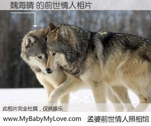 #孟婆前世情人照相馆# 【魏海晴 的前世情人】前生，我们相亲相爱，相约下辈子还要在一起，你的誓言可别忘记。然而轮回路上的一碗孟婆汤，却将一切归零。茫茫人悔，谁是我的前世情人？魏海晴 的前世情人，有图有真相：