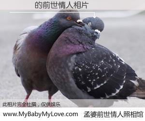 #孟婆前世情人照相馆# 【風無塵 的前世情人】前生，我们相亲相爱，相约下辈子还要在一起，你的誓言可别忘记。然而轮回路上的一碗孟婆汤，却将一切归零。茫茫人悔，谁是我的前世情人？風無塵 的前世情人，有图有真相：