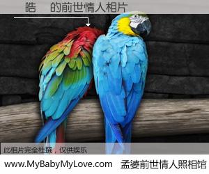 #孟婆前世情人照相馆# 【黃皓揚 的前世情人】前生，我们相亲相爱，相约下辈子还要在一起，你的誓言可别忘记。然而轮回路上的一碗孟婆汤，却将一切归零。茫茫人悔，谁是我的前世情人？黃皓揚 的前世情人，有图有真相：