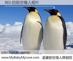 #孟婆前世情人照相馆# 【RED 的前世情人】前生，我们相亲相爱，相约下辈子还要在一起，你的誓言可别忘记。然而轮回路上的一碗孟婆汤，却将一切归零。茫茫人悔，谁是我的前世情人？RED 的前世情人，有图有真相：
