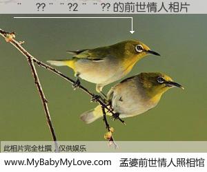 #孟婆前世情人照相馆# 【��??��?2��?? 的前世情人】前生，我们相亲相爱，相约下辈子还要在一起，你的誓言可别忘记。然而轮回路上的一碗孟婆汤，却将一切归零。茫茫人悔，谁是我的前世情人？��??��?2��?? 的前世情人，有图有真相：