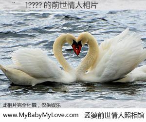 #孟婆前世情人照相馆# 【��1???? 的前世情人】前生，我们相亲相爱，相约下辈子还要在一起，你的誓言可别忘记。然而轮回路上的一碗孟婆汤，却将一切归零。茫茫人悔，谁是我的前世情人？��1???? 的前世情人，有图有真相：
