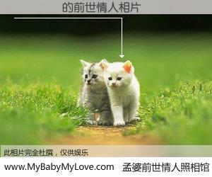 #孟婆前世情人照相馆# 【ҶƷ�� 的前世情人】前生，我们相亲相爱，相约下辈子还要在一起，你的誓言可别忘记。然而轮回路上的一碗孟婆汤，却将一切归零。茫茫人悔，谁是我的前世情人？ҶƷ�� 的前世情人，有图有真相：
