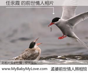 #孟婆前世情人照相馆# 【任永霞 的前世情人】前生，我们相亲相爱，相约下辈子还要在一起，你的誓言可别忘记。然而轮回路上的一碗孟婆汤，却将一切归零。茫茫人悔，谁是我的前世情人？任永霞 的前世情人，有图有真相：