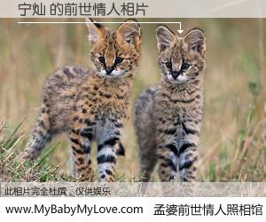 #孟婆前世情人照相馆# 【宁灿 的前世情人】前生，我们相亲相爱，相约下辈子还要在一起，你的誓言可别忘记。然而轮回路上的一碗孟婆汤，却将一切归零。茫茫人悔，谁是我的前世情人？宁灿 的前世情人，有图有真相：