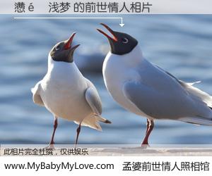 #孟婆前世情人照相馆# 【懑�浅梦 的前世情人】前生，我们相亲相爱，相约下辈子还要在一起，你的誓言可别忘记。然而轮回路上的一碗孟婆汤，却将一切归零。茫茫人悔，谁是我的前世情人？懑�浅梦 的前世情人，有图有真相：
