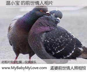 #孟婆前世情人照相馆# 【温小宝 的前世情人】前生，我们相亲相爱，相约下辈子还要在一起，你的誓言可别忘记。然而轮回路上的一碗孟婆汤，却将一切归零。茫茫人悔，谁是我的前世情人？温小宝 的前世情人，有图有真相：