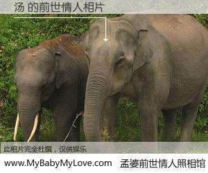 #孟婆前世情人照相馆# 【汤 的前世情人】前生，我们相亲相爱，相约下辈子还要在一起，你的誓言可别忘记。然而轮回路上的一碗孟婆汤，却将一切归零。茫茫人悔，谁是我的前世情人？汤 的前世情人，有图有真相：