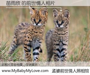 #孟婆前世情人照相馆# 【苗雨欣 的前世情人】前生，我们相亲相爱，相约下辈子还要在一起，你的誓言可别忘记。然而轮回路上的一碗孟婆汤，却将一切归零。茫茫人悔，谁是我的前世情人？苗雨欣 的前世情人，有图有真相：