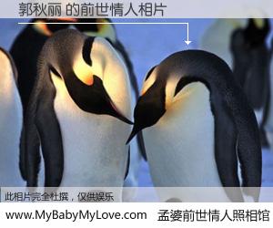 #孟婆前世情人照相馆# 【郭秋丽 的前世情人】前生，我们相亲相爱，相约下辈子还要在一起，你的誓言可别忘记。然而轮回路上的一碗孟婆汤，却将一切归零。茫茫人悔，谁是我的前世情人？郭秋丽 的前世情人，有图有真相：
