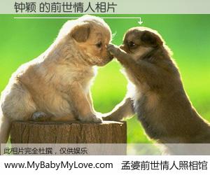 #孟婆前世情人照相馆# 【钟颖 的前世情人】前生，我们相亲相爱，相约下辈子还要在一起，你的誓言可别忘记。然而轮回路上的一碗孟婆汤，却将一切归零。茫茫人悔，谁是我的前世情人？钟颖 的前世情人，有图有真相：