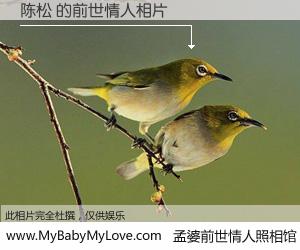 #孟婆前世情人照相馆# 【陈松 的前世情人】前生，我们相亲相爱，相约下辈子还要在一起，你的誓言可别忘记。然而轮回路上的一碗孟婆汤，却将一切归零。茫茫人悔，谁是我的前世情人？陈松 的前世情人，有图有真相：