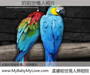 #孟婆前世情人照相馆# 【陳傑憲 的前世情人】前生，我们相亲相爱，相约下辈子还要在一起，你的誓言可别忘记。然而轮回路上的一碗孟婆汤，却将一切归零。茫茫人悔，谁是我的前世情人？陳傑憲 的前世情人，有图有真相：