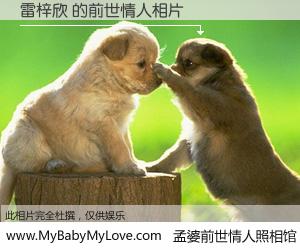 #孟婆前世情人照相馆# 【雷梓欣 的前世情人】前生，我们相亲相爱，相约下辈子还要在一起，你的誓言可别忘记。然而轮回路上的一碗孟婆汤，却将一切归零。茫茫人悔，谁是我的前世情人？雷梓欣 的前世情人，有图有真相：