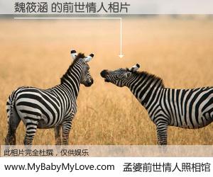 #孟婆前世情人照相馆# 【魏筱涵 的前世情人】前生，我们相亲相爱，相约下辈子还要在一起，你的誓言可别忘记。然而轮回路上的一碗孟婆汤，却将一切归零。茫茫人悔，谁是我的前世情人？魏筱涵 的前世情人，有图有真相：