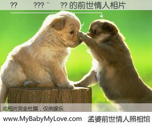 #孟婆前世情人照相馆# 【??��???��?? 的前世情人】前生，我们相亲相爱，相约下辈子还要在一起，你的誓言可别忘记。然而轮回路上的一碗孟婆汤，却将一切归零。茫茫人悔，谁是我的前世情人？??��???��?? 的前世情人，有图有真相：