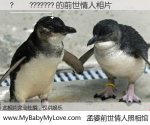 #孟婆前世情人照相馆# 【?��??????? 的前世情人】前生，我们相亲相爱，相约下辈子还要在一起，你的誓言可别忘记。然而轮回路上的一碗孟婆汤，却将一切归零。茫茫人悔，谁是我的前世情人？?��??????? 的前世情人，有图有真相：