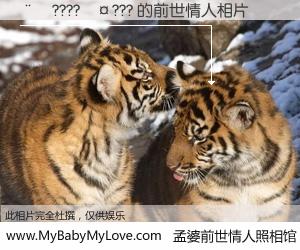 #孟婆前世情人照相馆# 【��????��??? 的前世情人】前生，我们相亲相爱，相约下辈子还要在一起，你的誓言可别忘记。然而轮回路上的一碗孟婆汤，却将一切归零。茫茫人悔，谁是我的前世情人？��????��??? 的前世情人，有图有真相：