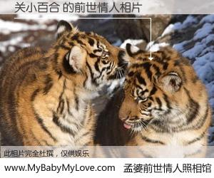 #孟婆前世情人照相馆# 【关小百合 的前世情人】前生，我们相亲相爱，相约下辈子还要在一起，你的誓言可别忘记。然而轮回路上的一碗孟婆汤，却将一切归零。茫茫人悔，谁是我的前世情人？关小百合 的前世情人，有图有真相：