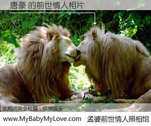 #孟婆前世情人照相馆# 【唐豪 的前世情人】前生，我们相亲相爱，相约下辈子还要在一起，你的誓言可别忘记。然而轮回路上的一碗孟婆汤，却将一切归零。茫茫人悔，谁是我的前世情人？唐豪 的前世情人，有图有真相：