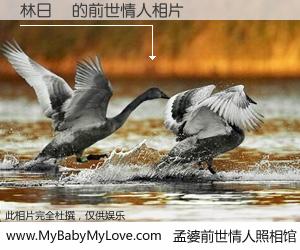 #孟婆前世情人照相馆# 【林日揚 的前世情人】前生，我们相亲相爱，相约下辈子还要在一起，你的誓言可别忘记。然而轮回路上的一碗孟婆汤，却将一切归零。茫茫人悔，谁是我的前世情人？林日揚 的前世情人，有图有真相：