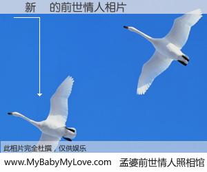 #孟婆前世情人照相馆# 【楊新寧 的前世情人】前生，我们相亲相爱，相约下辈子还要在一起，你的誓言可别忘记。然而轮回路上的一碗孟婆汤，却将一切归零。茫茫人悔，谁是我的前世情人？楊新寧 的前世情人，有图有真相：