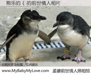 #孟婆前世情人照相馆# 【熊乐的（ 的前世情人】前生，我们相亲相爱，相约下辈子还要在一起，你的誓言可别忘记。然而轮回路上的一碗孟婆汤，却将一切归零。茫茫人悔，谁是我的前世情人？熊乐的（ 的前世情人，有图有真相：