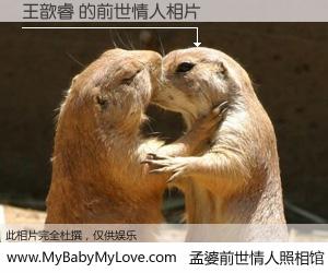 #孟婆前世情人照相馆# 【王歆睿 的前世情人】前生，我们相亲相爱，相约下辈子还要在一起，你的誓言可别忘记。然而轮回路上的一碗孟婆汤，却将一切归零。茫茫人悔，谁是我的前世情人？王歆睿 的前世情人，有图有真相：
