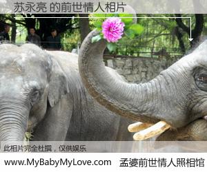 #孟婆前世情人照相馆# 【苏永亮 的前世情人】前生，我们相亲相爱，相约下辈子还要在一起，你的誓言可别忘记。然而轮回路上的一碗孟婆汤，却将一切归零。茫茫人悔，谁是我的前世情人？苏永亮 的前世情人，有图有真相：