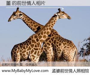 #孟婆前世情人照相馆# 【董 的前世情人】前生，我们相亲相爱，相约下辈子还要在一起，你的誓言可别忘记。然而轮回路上的一碗孟婆汤，却将一切归零。茫茫人悔，谁是我的前世情人？董 的前世情人，有图有真相：